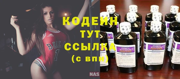индика Киреевск