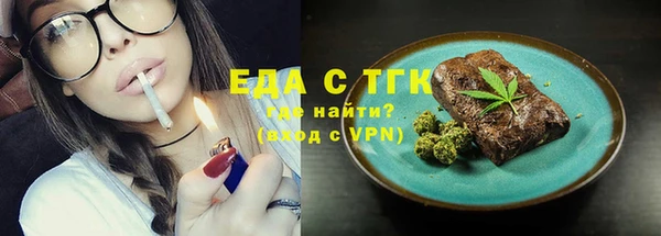 индика Киреевск