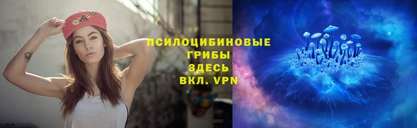 соль ск Алзамай