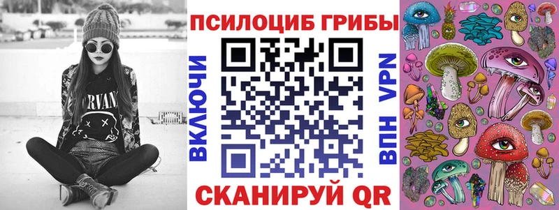 цена Заполярный MEGA зеркало Галлюциногенные грибы мицелий