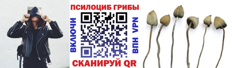 Галлюциногенные грибы GOLDEN TEACHER Заполярный
