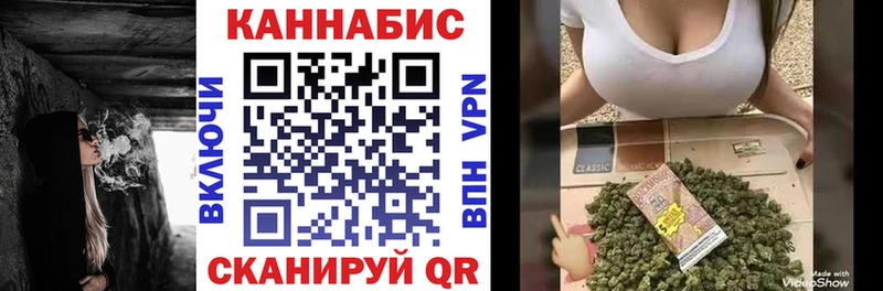 Канабис сатива  Заполярный 